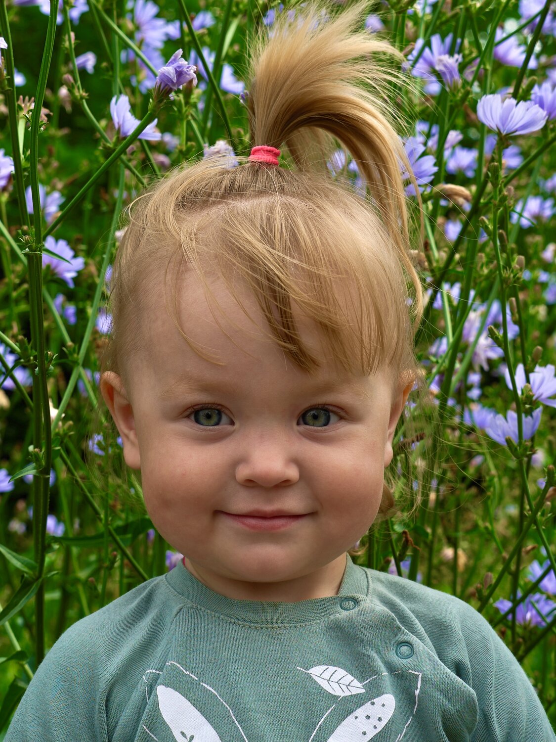 Photo #14016653