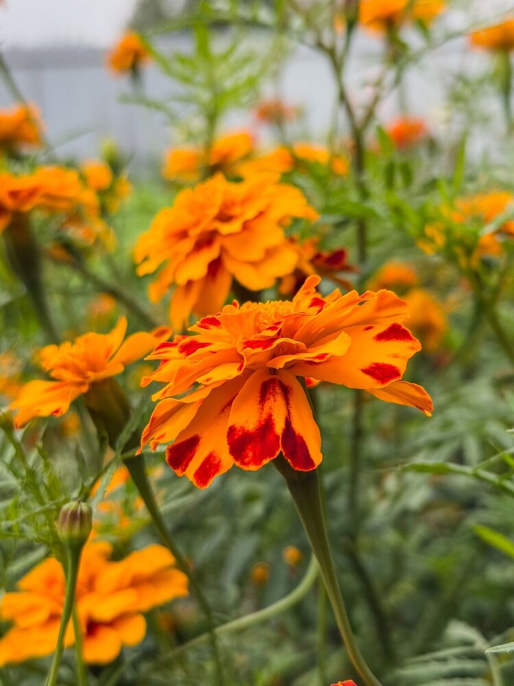 Photograph by Uladzimir Hvozd
