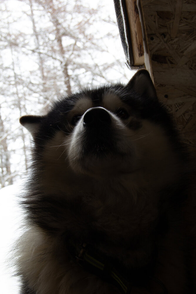 Photograph by Ольга Логарева