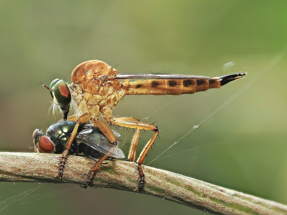 Photograph by Thành Tấn Nguyễn