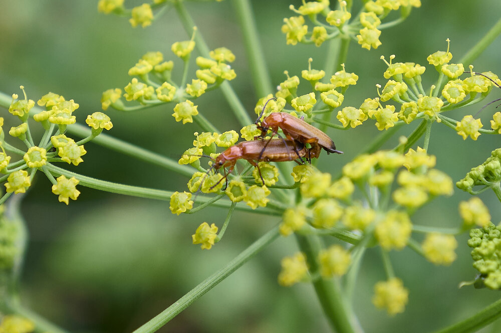 Photograph by Каракулов Олег