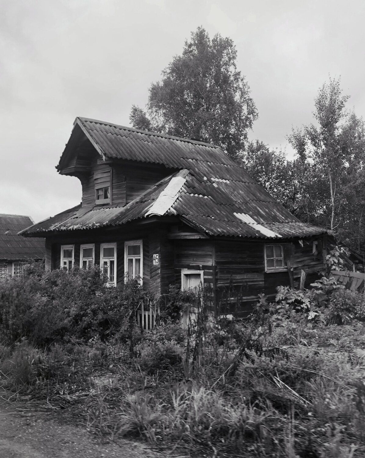 Photo #14016830