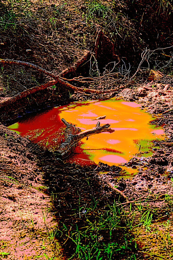 Da Arancio a Rosso