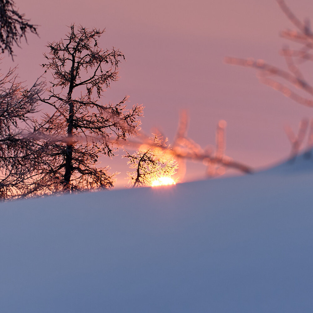 Photograph by Максим Карпович