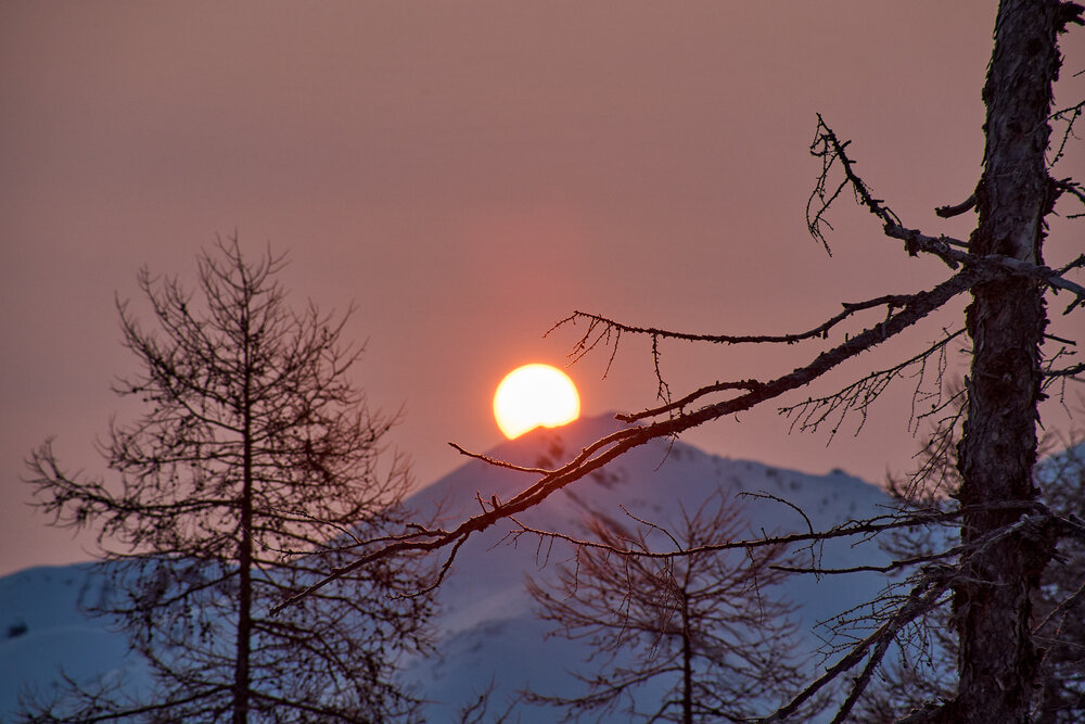 Photograph by Максим Карпович