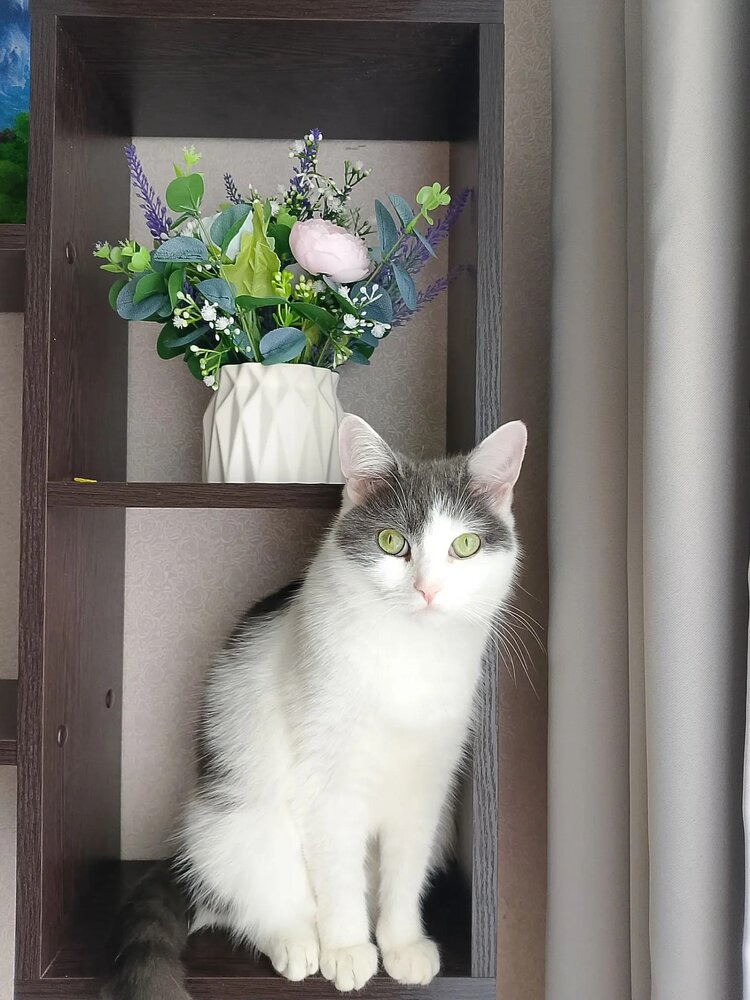 Фотография автора Марина Белунова