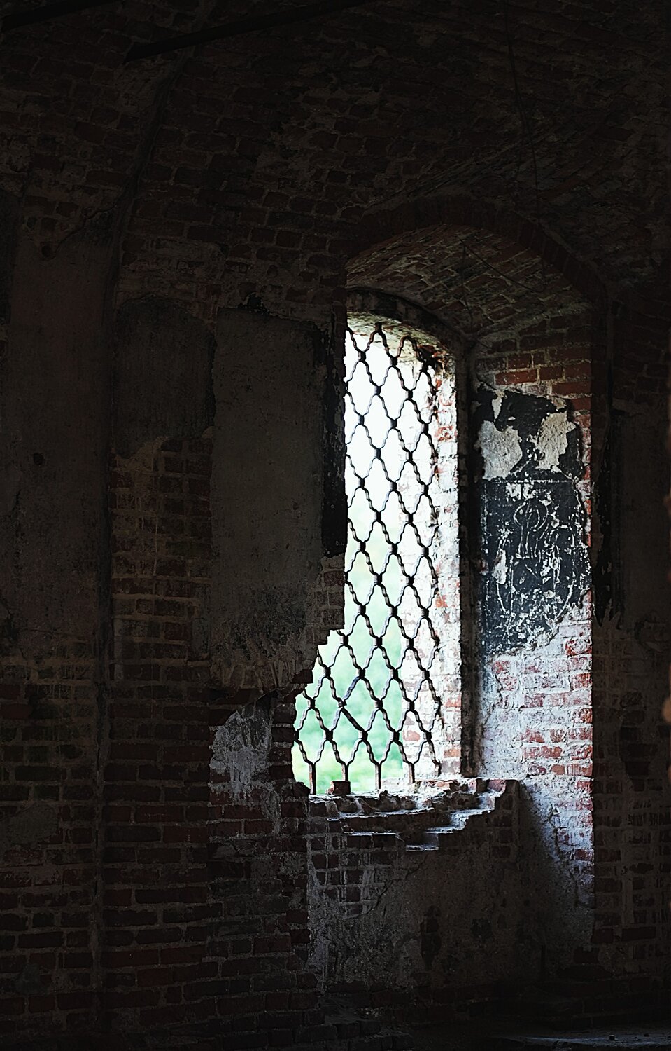 Photo #14017096