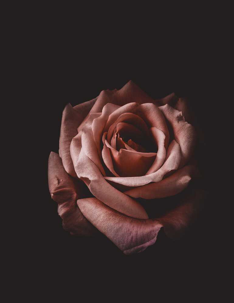Photograph by Mahdi Rezaei