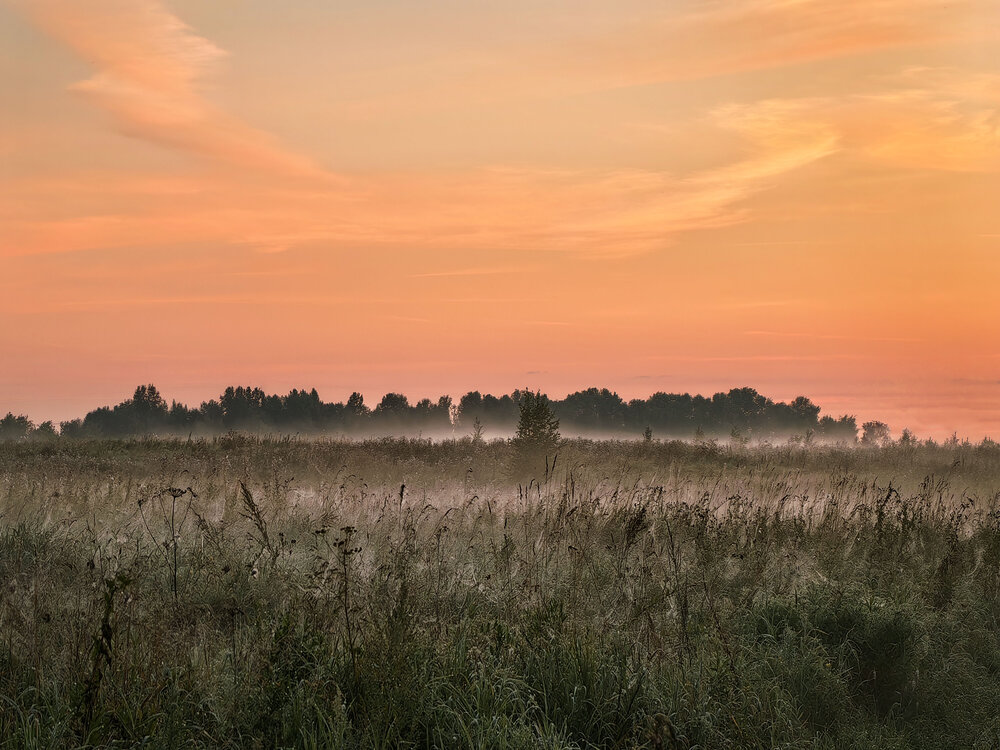 Photograph by Татьяна Мишустина