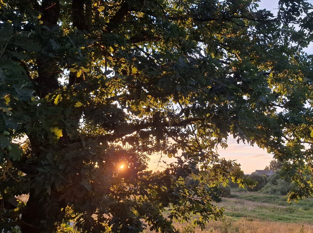 Фотография автора Ярослава Лебедева