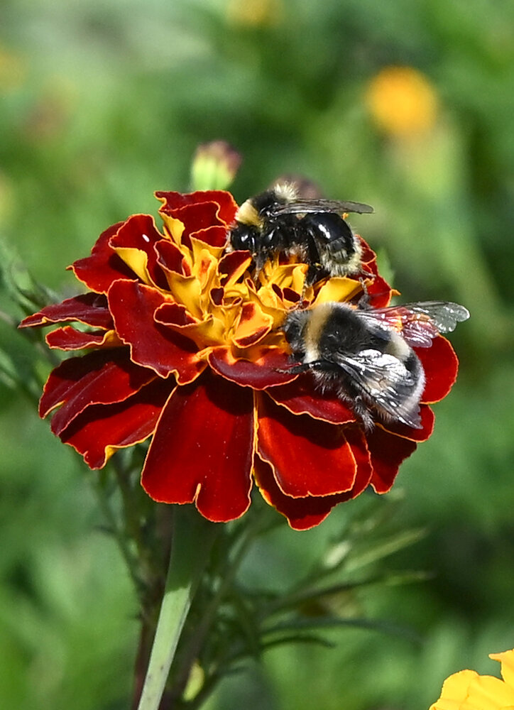 Photograph by Михаил Белоусов