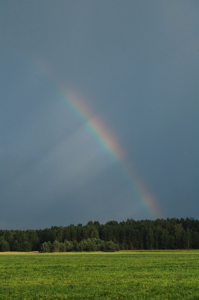 Photograph by Майя Синичкина