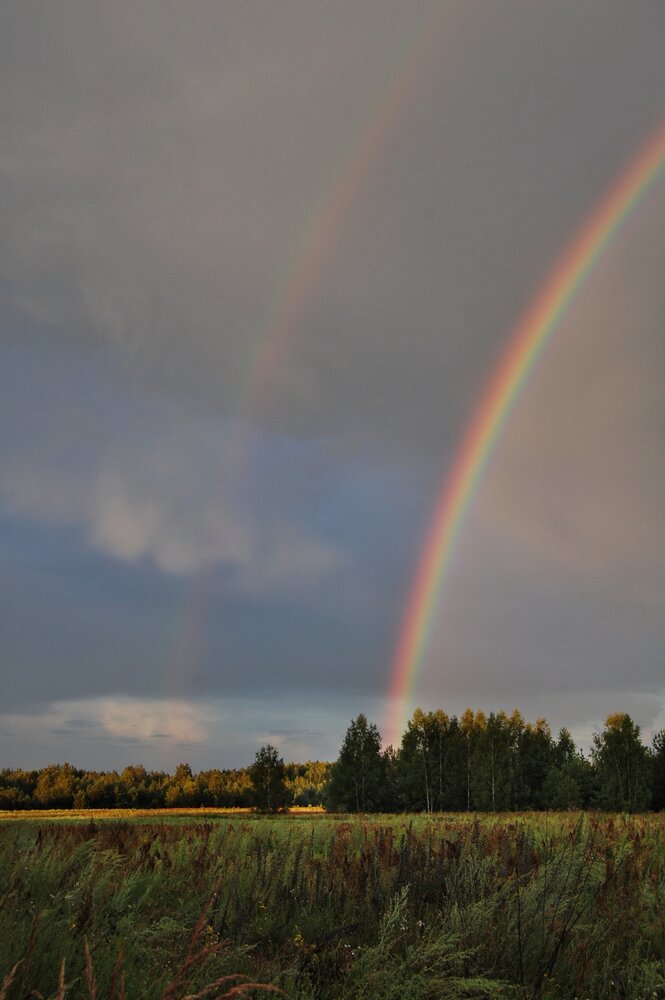 Photograph by Майя Синичкина