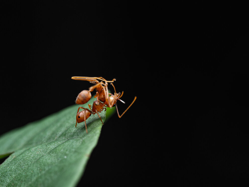 Photograph by nguyen phuc