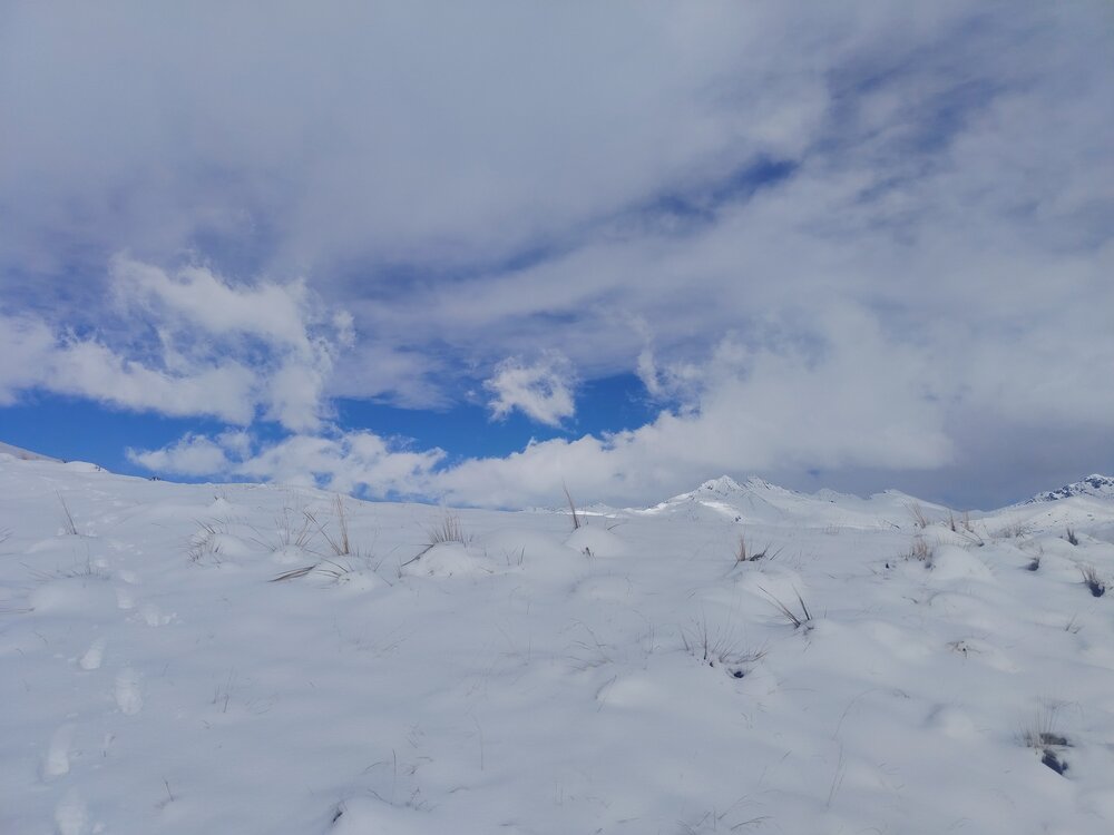 The White Silence