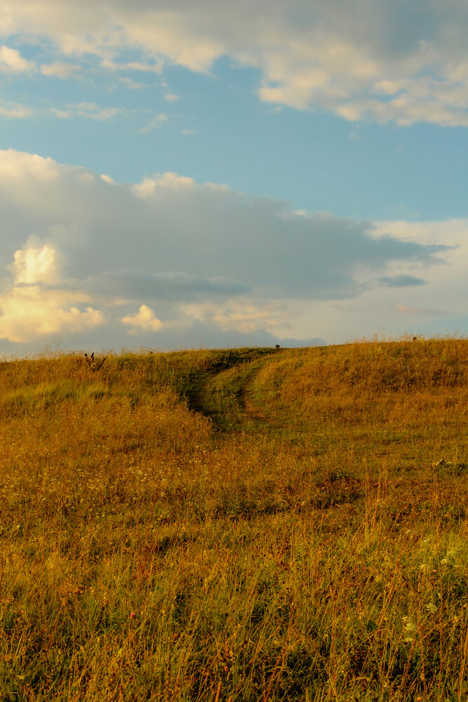 Photograph by Елизавета Красова