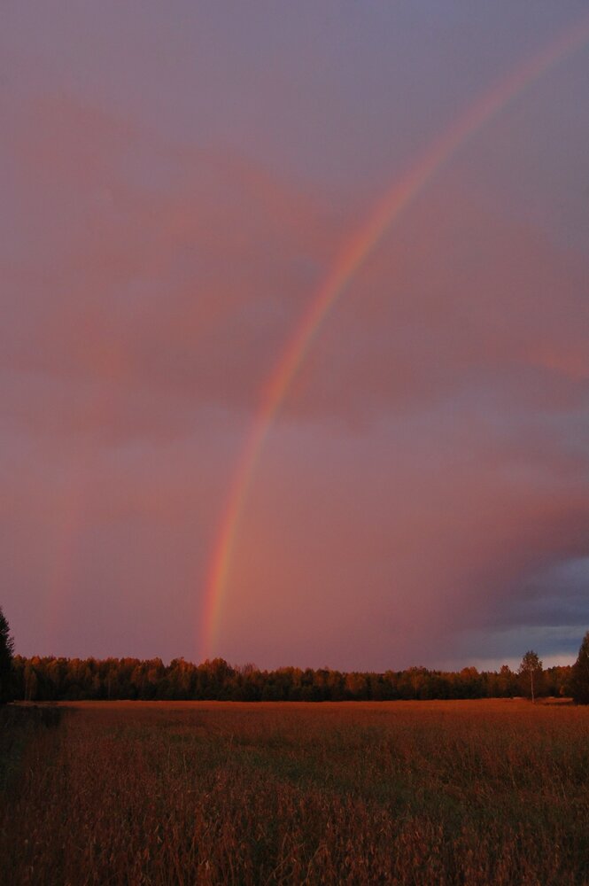 Photograph by Майя Синичкина