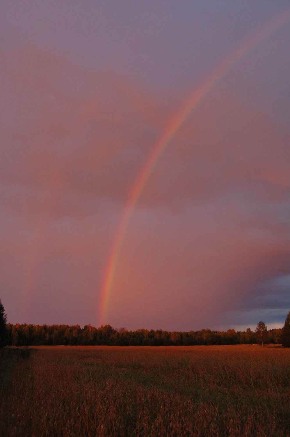 Photo #14017454