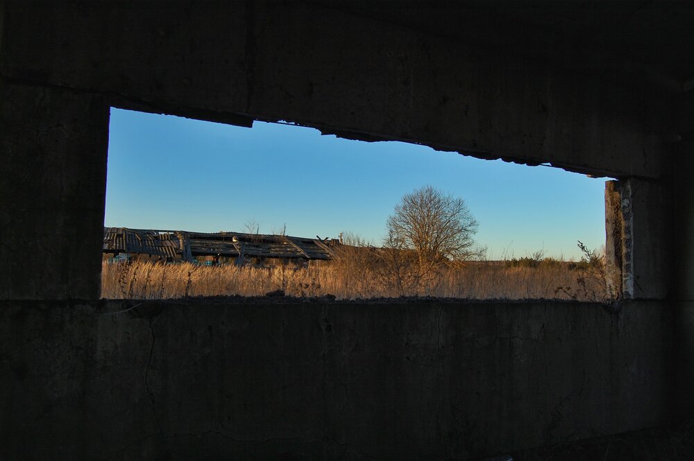 Photograph by Майя Синичкина