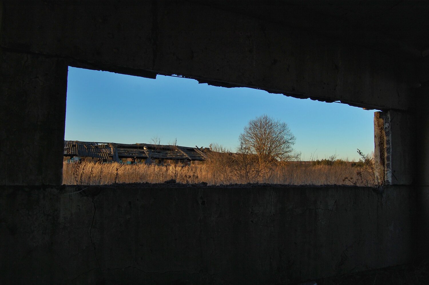 Photo #14017466