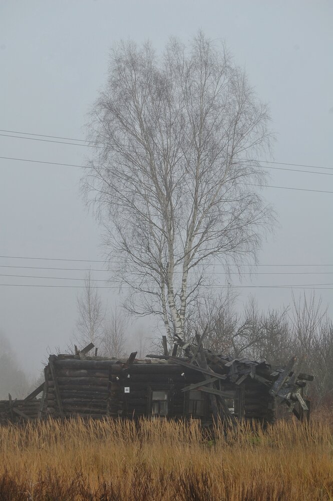 Photograph by Майя Синичкина