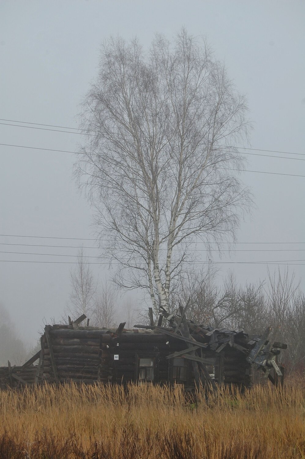 Photo #14017488