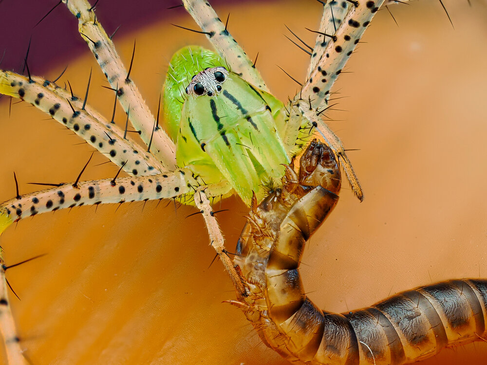 Photograph by Trinh Hoang Duc Loc