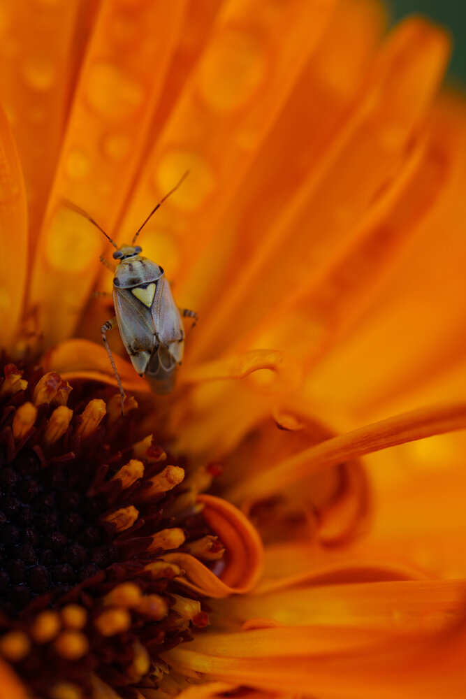 Photograph by Екатерина Овсянникова