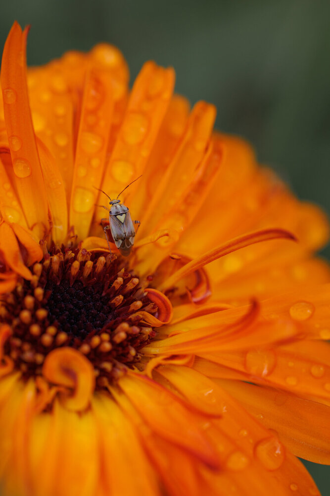 Photograph by Екатерина Овсянникова