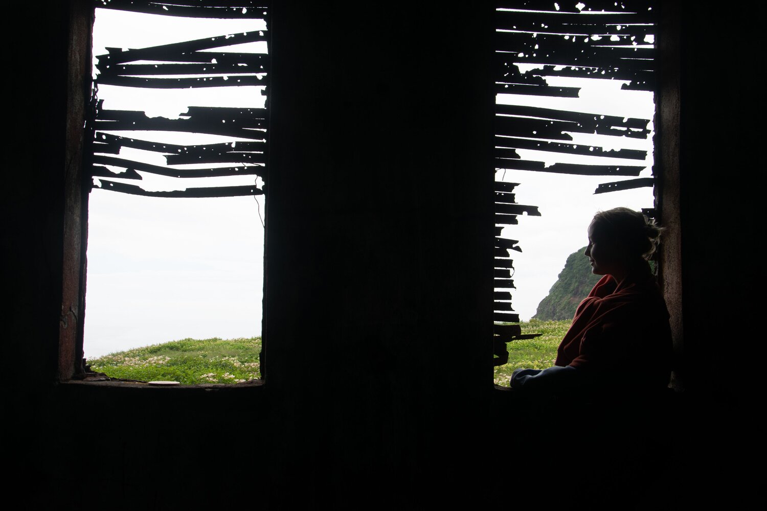 Photo #14017577