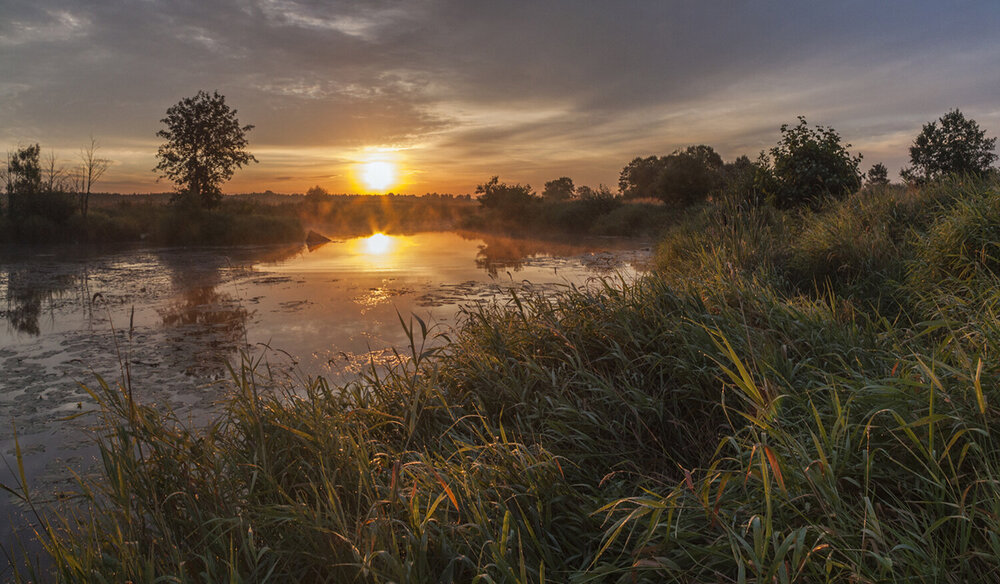 Photograph by Николай Кузьмин