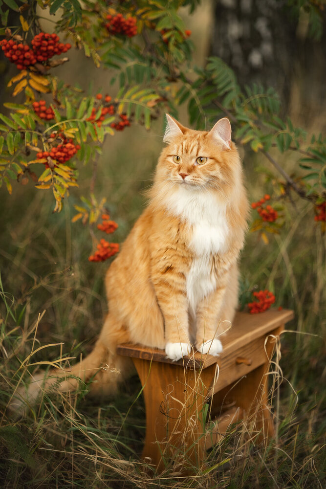 Photograph by Елена Косинова