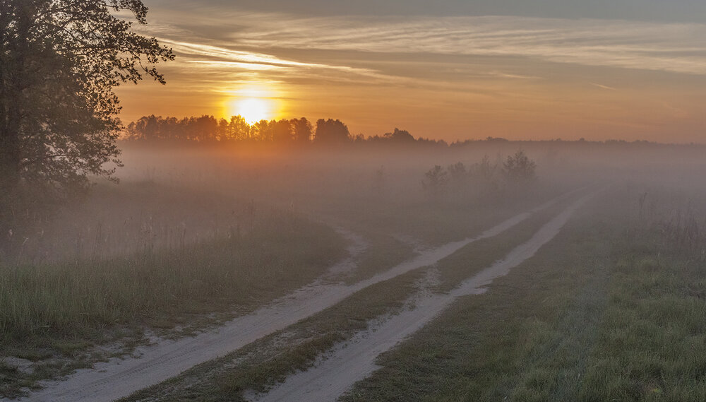 Photograph by Николай Кузьмин