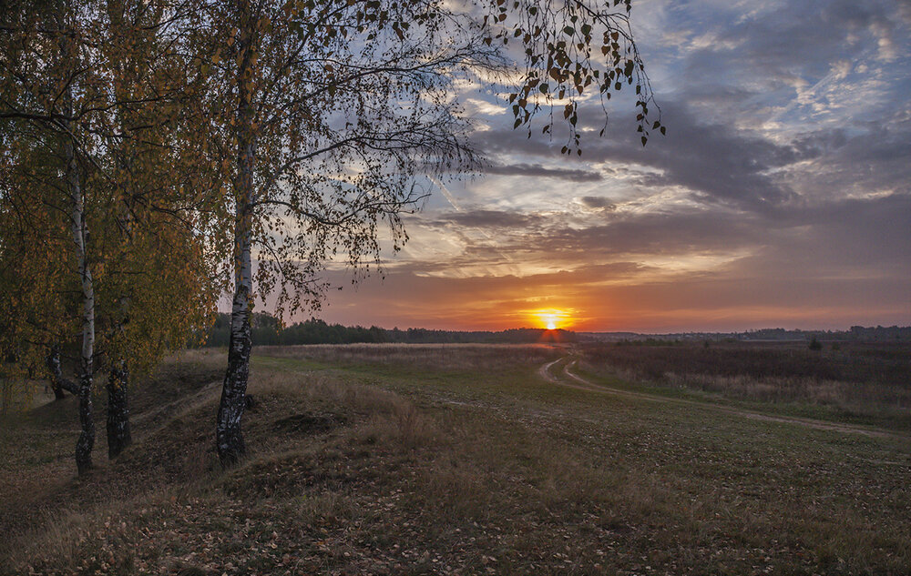 Photograph by Николай Кузьмин