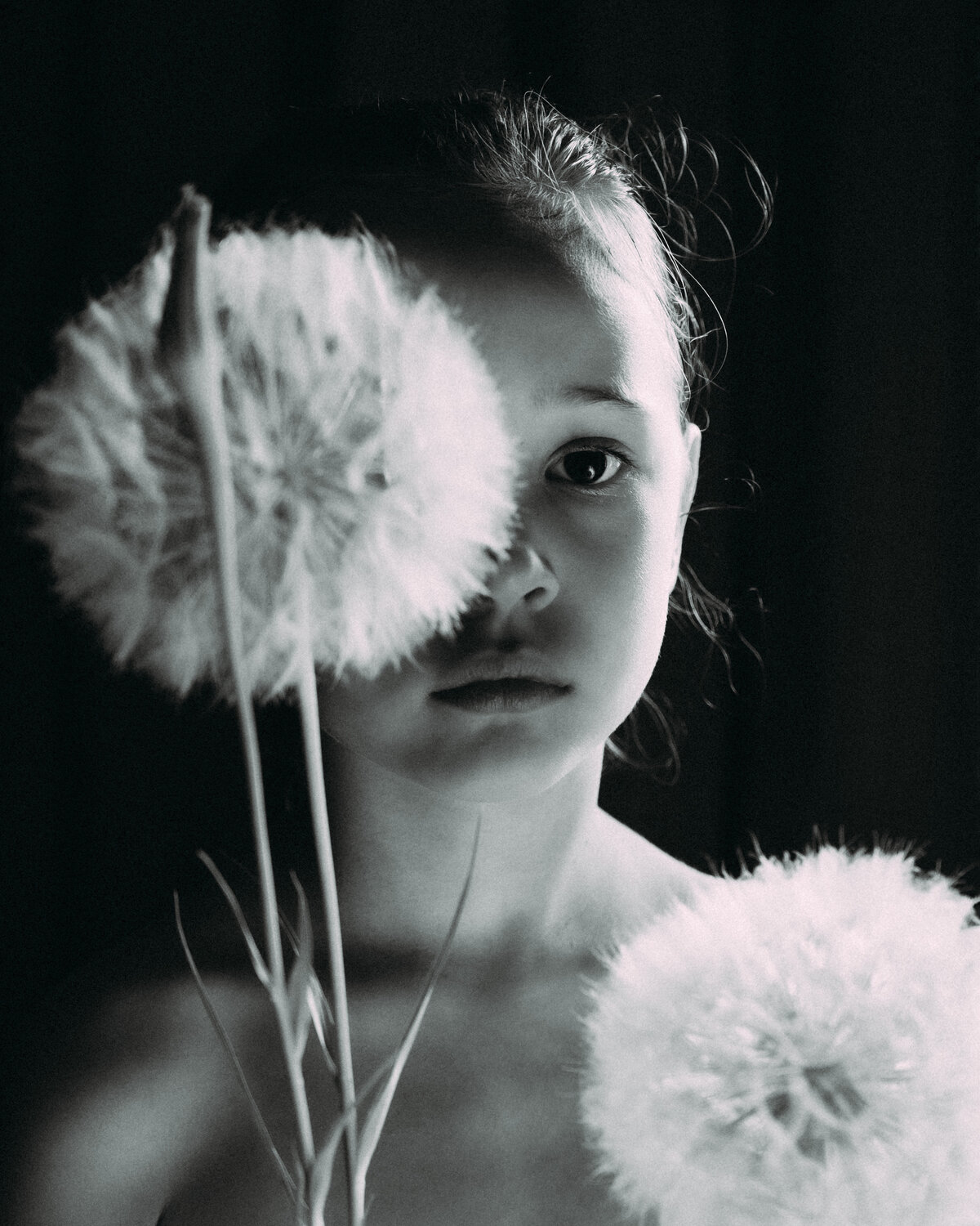 Photo #14017685