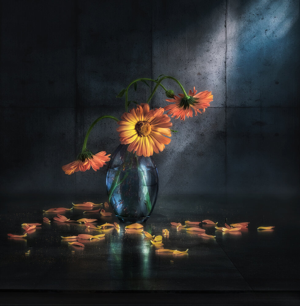 Photograph by Рубинова Елена