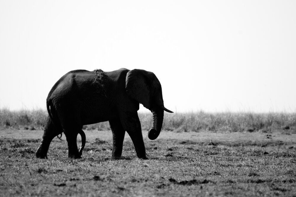 Photograph by Evgeniia Zorina