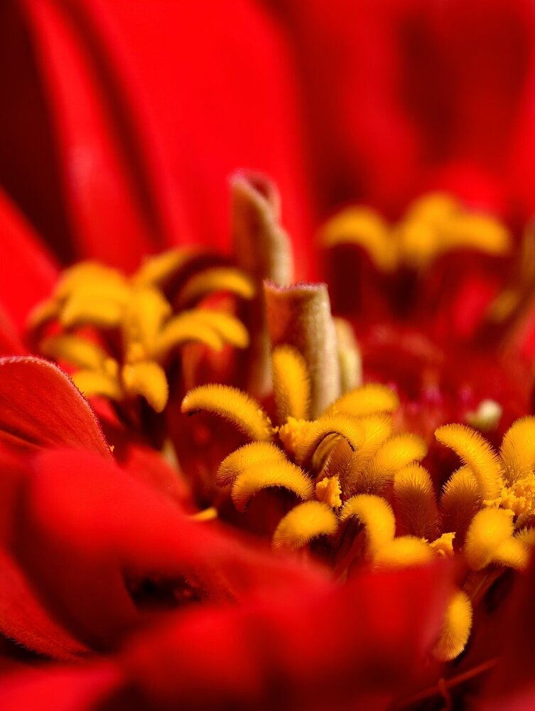 Photograph by Евгений Аксененко