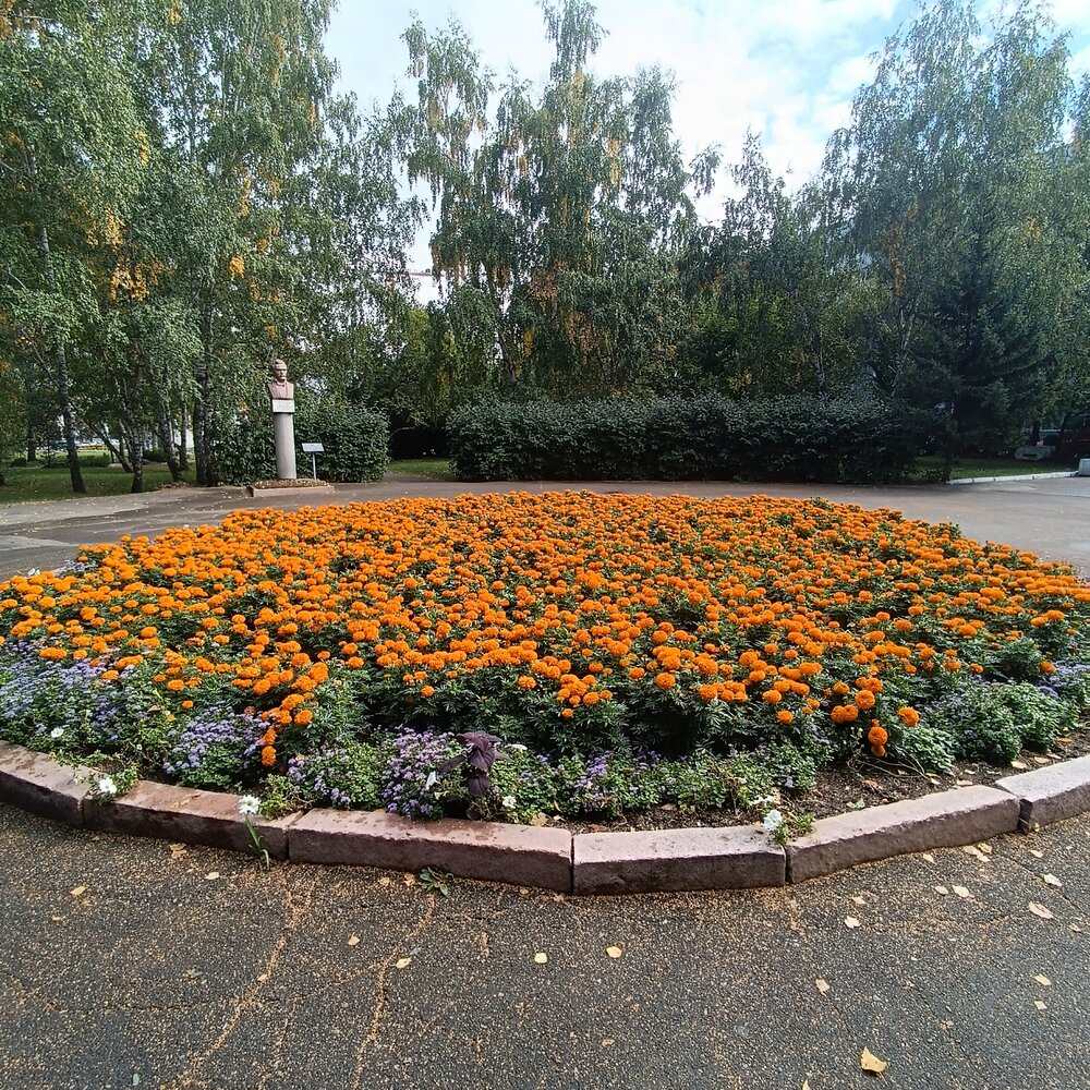 Фотография автора Елена Колышева