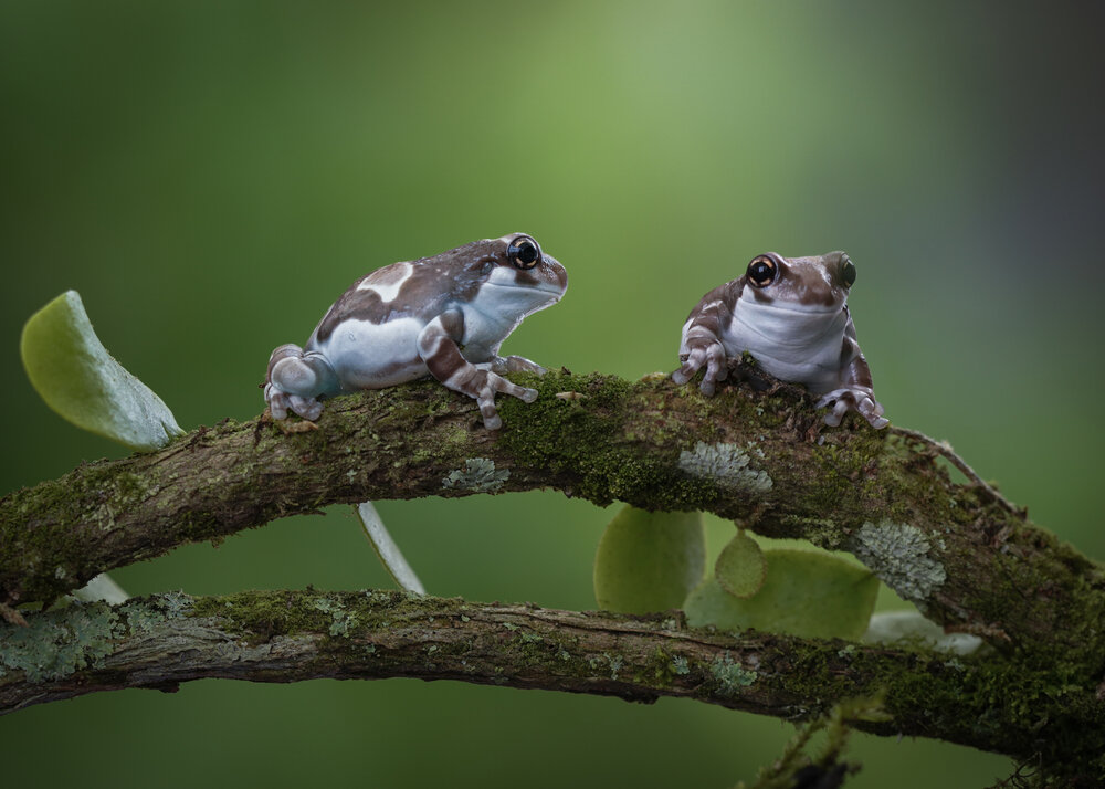 A Quiet Encounter