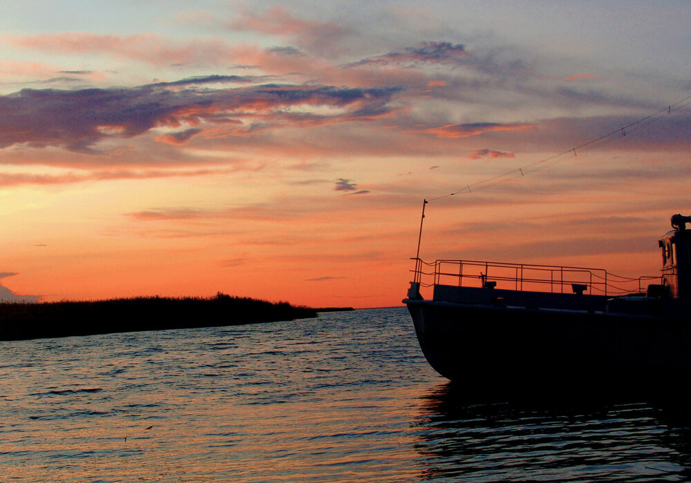Photograph by Михаил Максимов