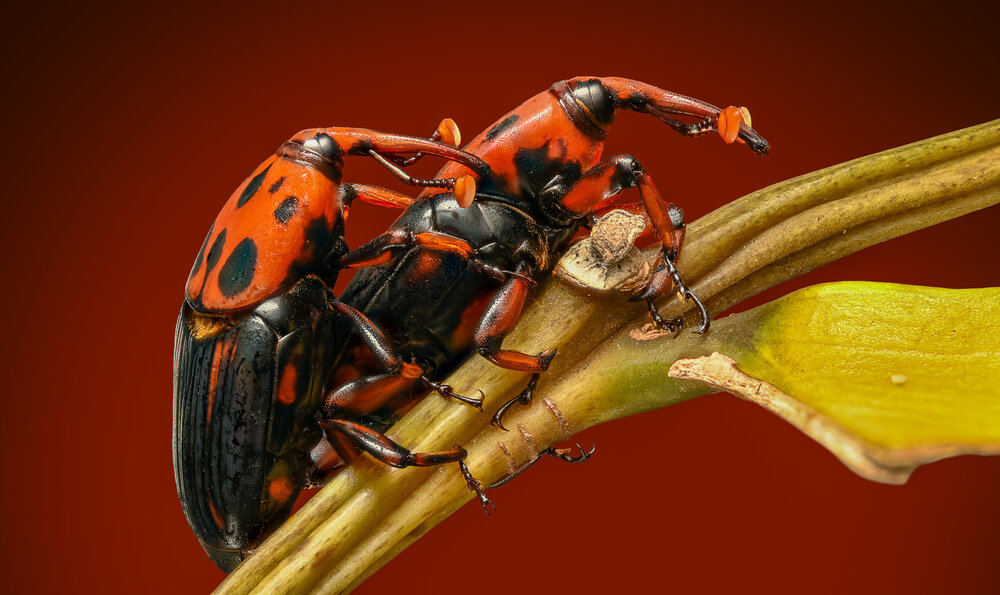 Photograph by Doan Ri