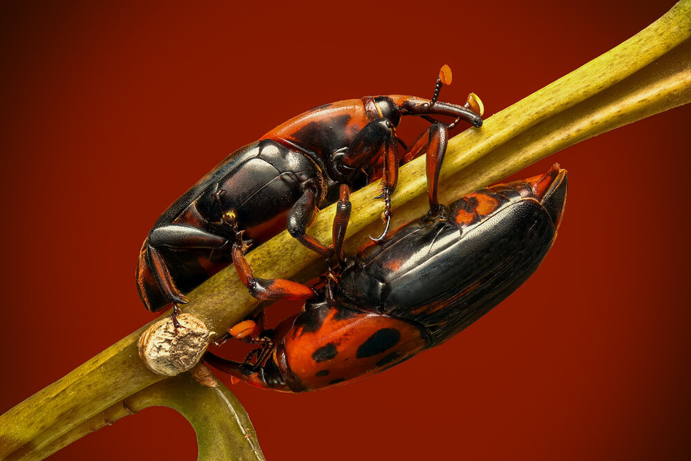 Photograph by Doan Ri