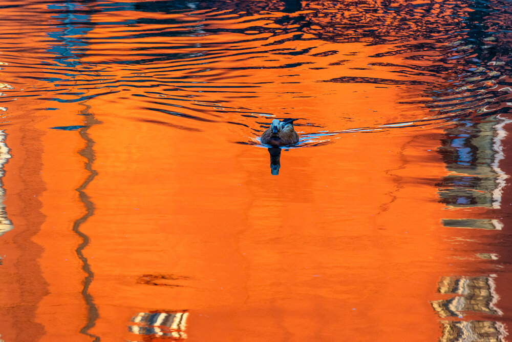 Photograph by Екатерина