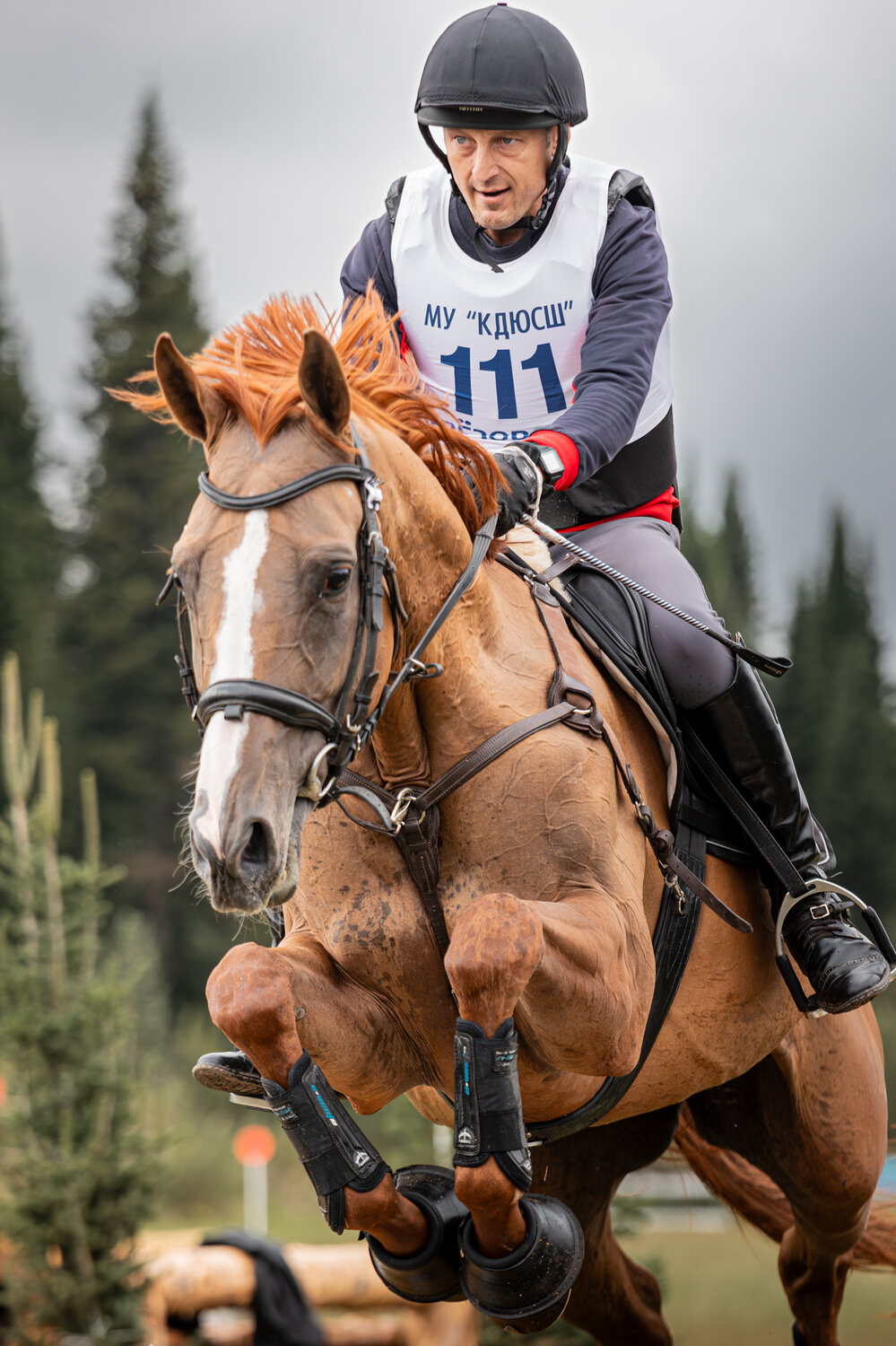Photo #14018299
