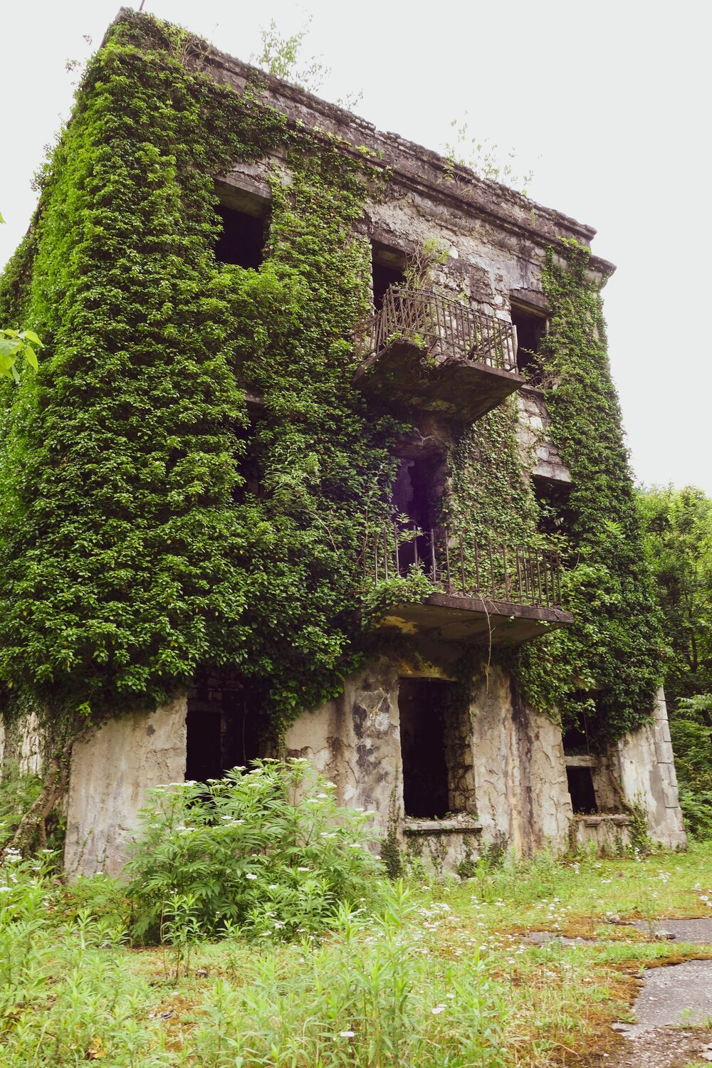 Photo #14018302