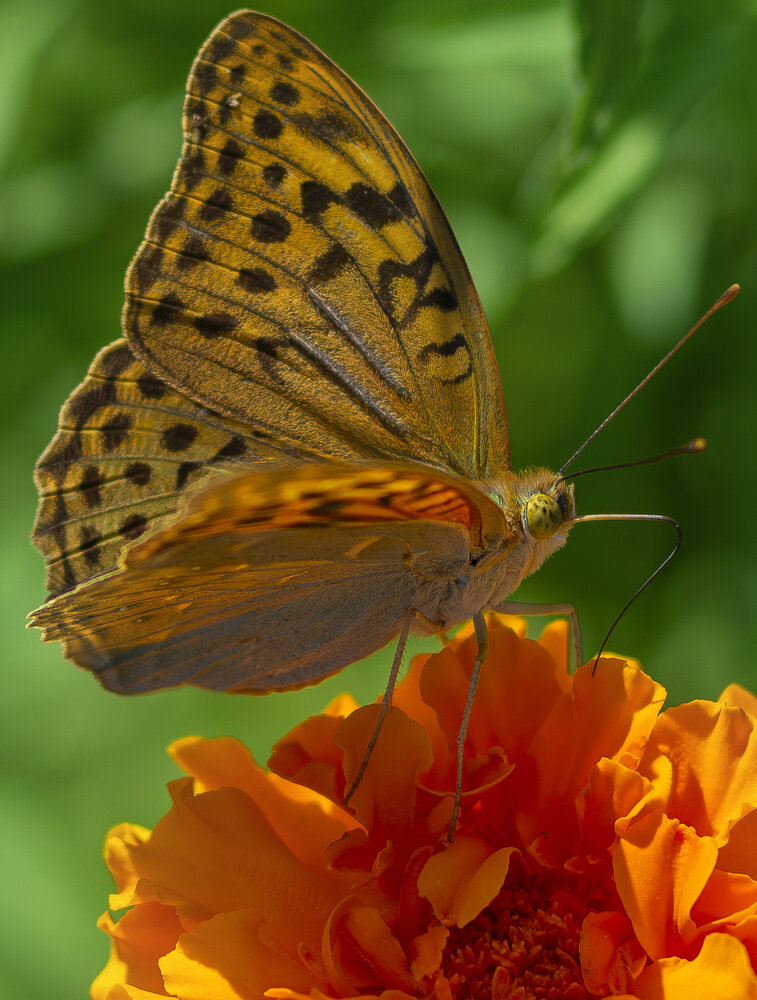 Photograph by Дмитрий Кетов