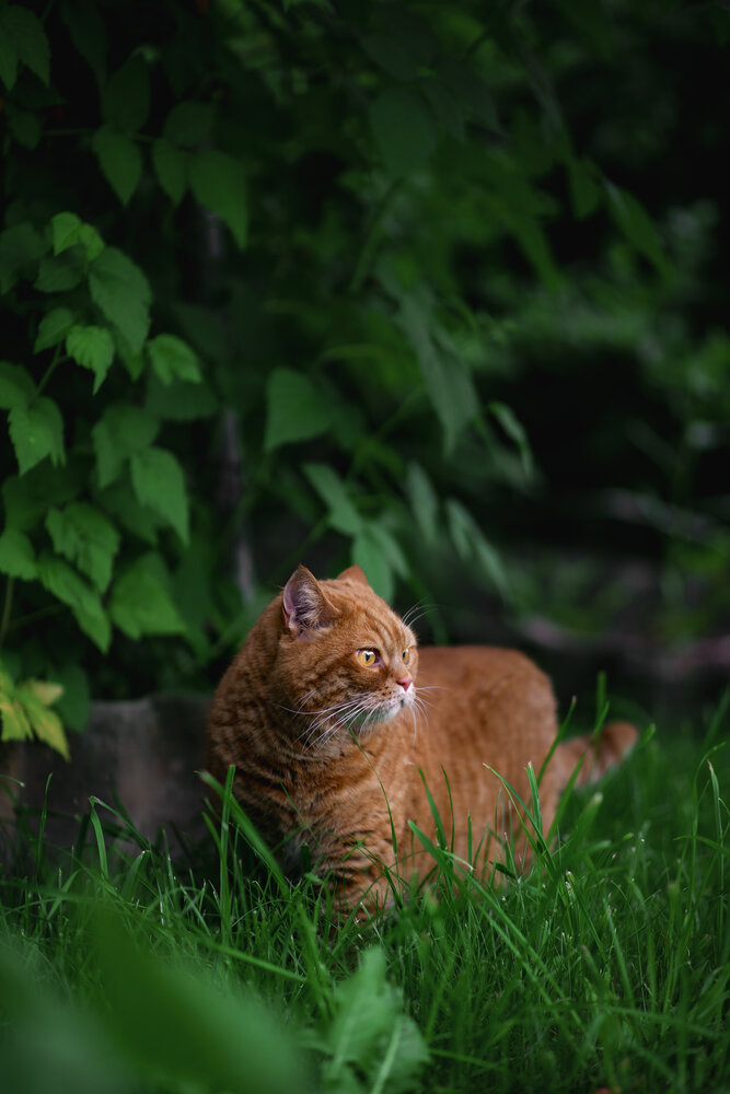 Photograph by Natalia Sorenkova