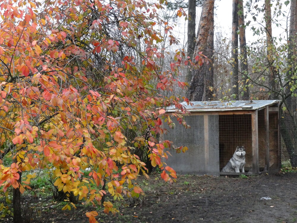 Photo #14018515