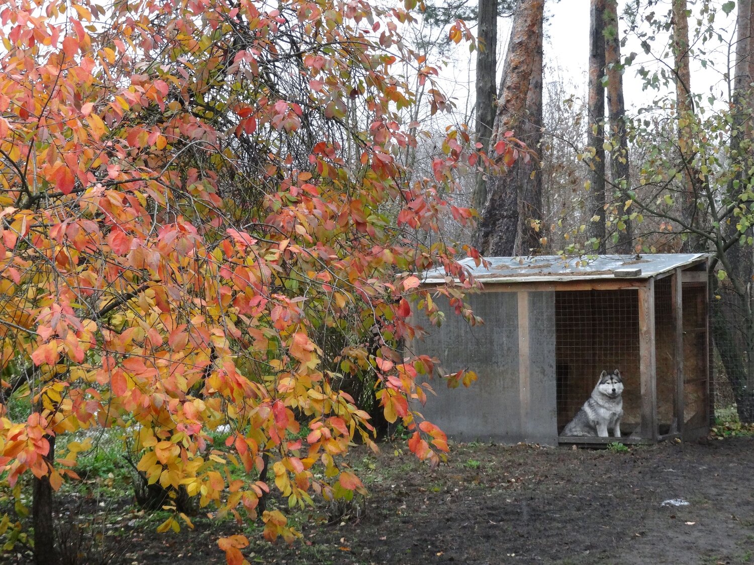 Photo #14018515